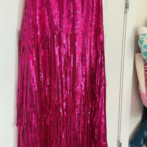 Anthropologie Fuchsia Sequin Maxi Skirt - Picture 4 of 14